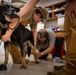 Caring hands and canine heroes