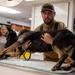 Caring hands and canine heroes