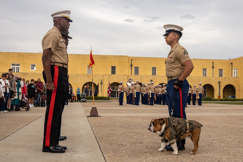 Devil Dog To Be Promoted