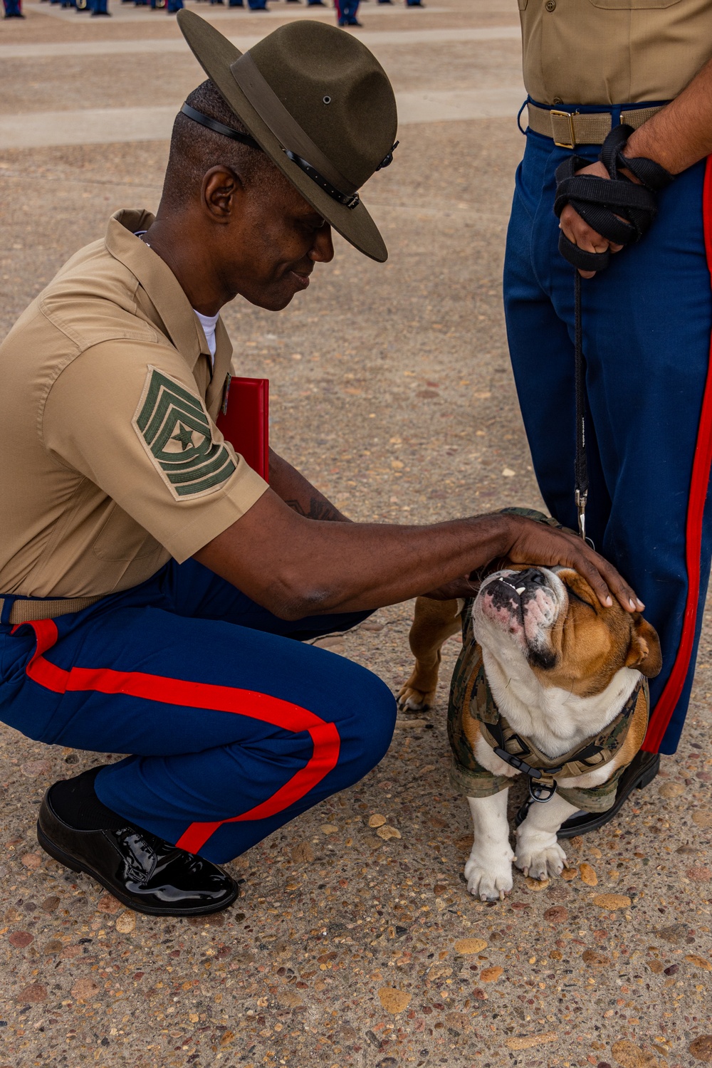 Devil Dog To Be Promoted