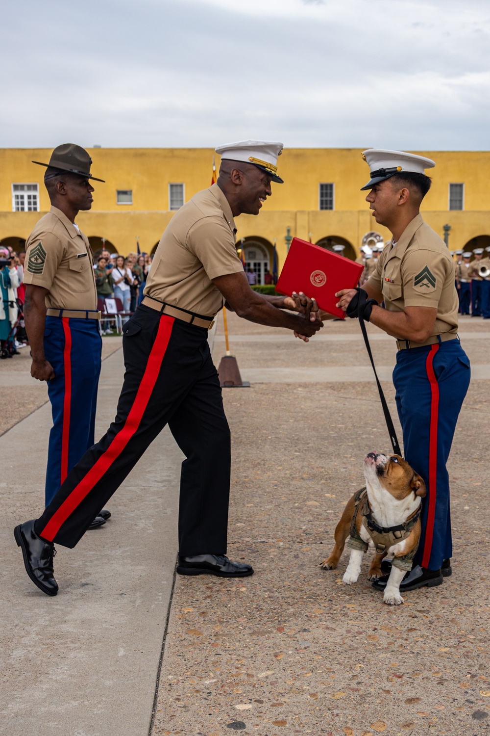 Devil Dog To Be Promoted