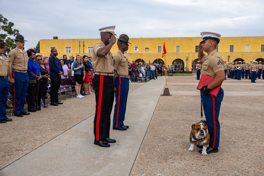 Devil Dog To Be Promoted