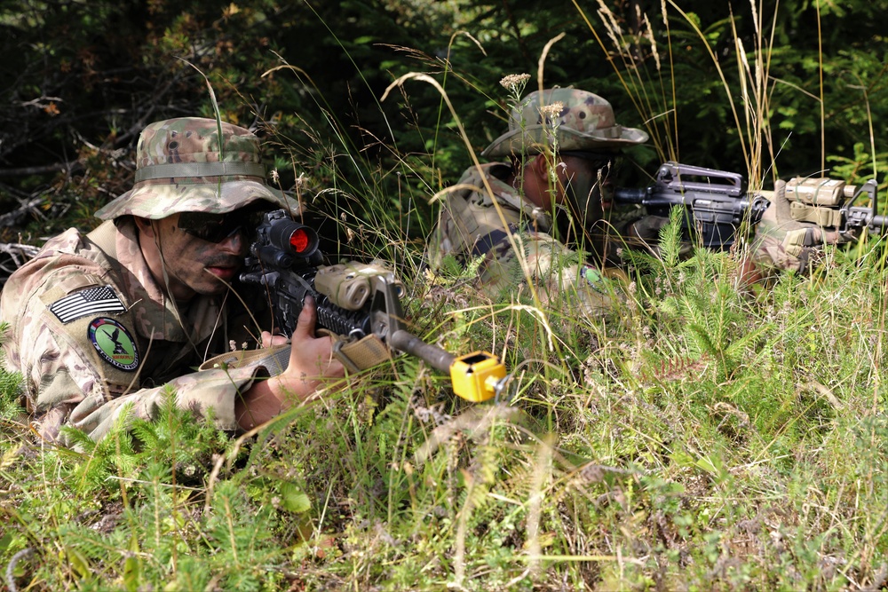 Combined Training Exercise Rhodope 23