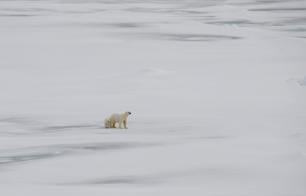 USCGC Healy Polar Operations