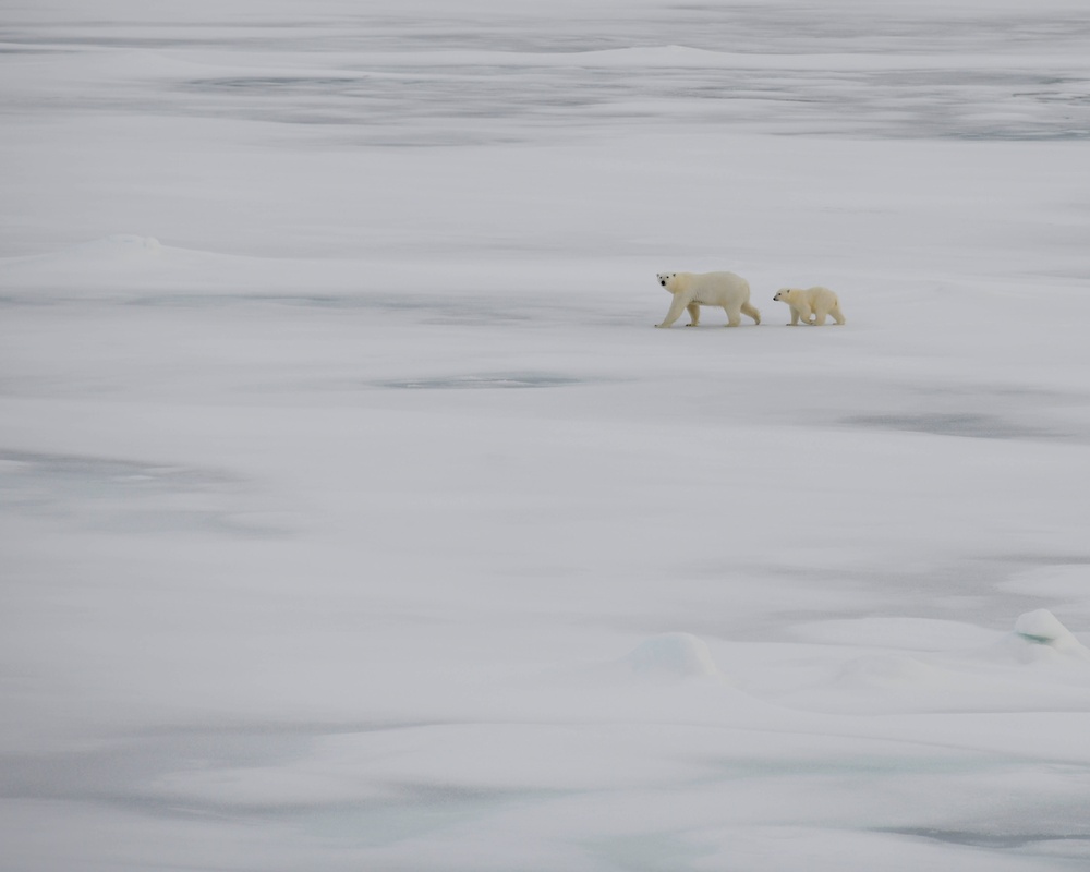 USCGC Healy Polar Operations