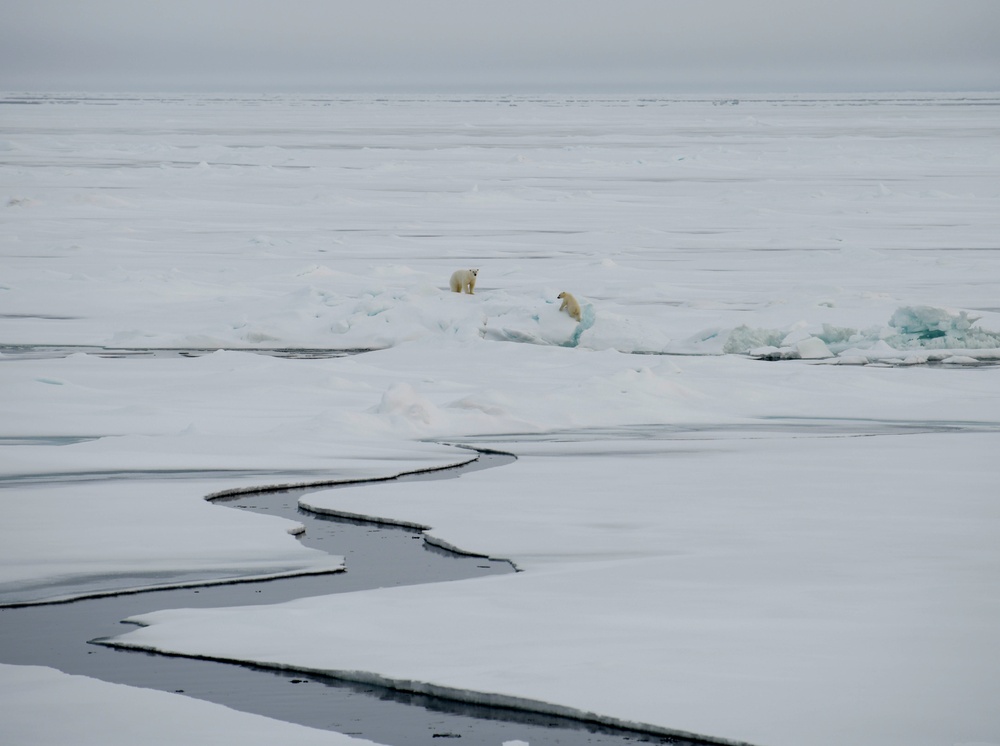 USCGC Healy Polar Operations