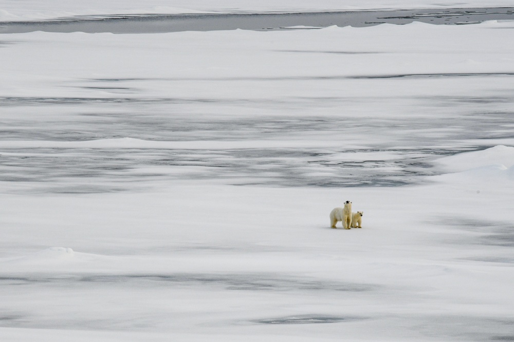 U.S. Coast Guard Cutter Healy conducts science missions