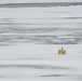 U.S. Coast Guard Cutter Healy conducts science missions