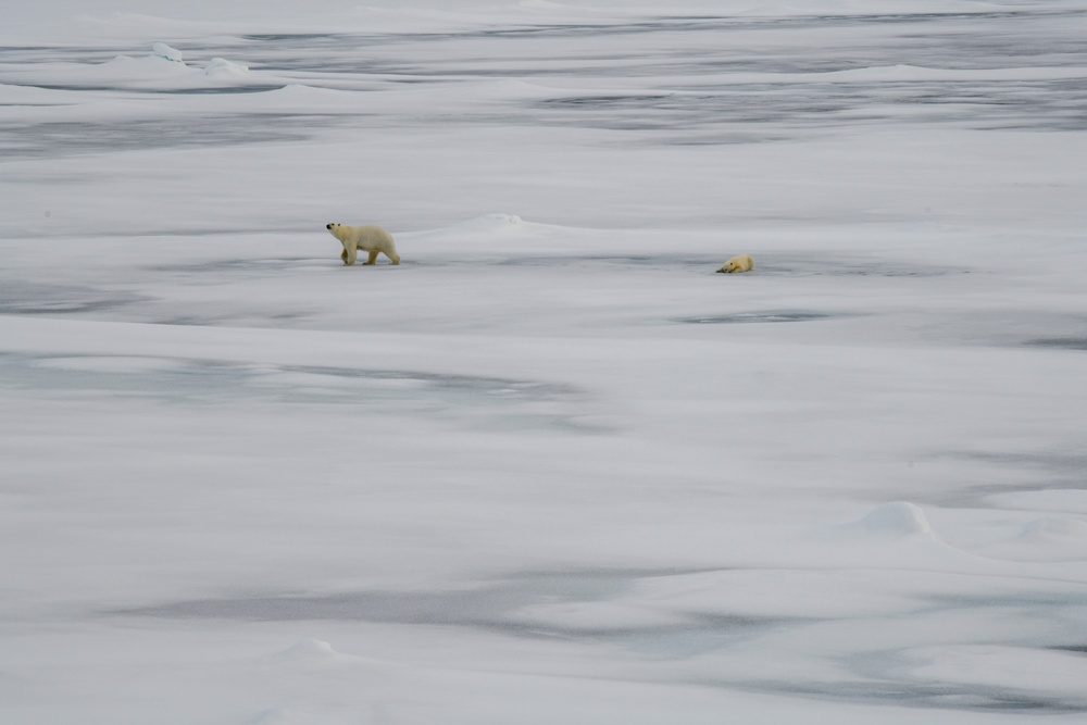 U.S. Coast Guard Cutter Healy conducts science missions