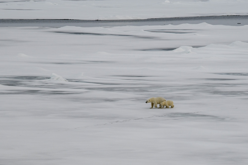 U.S. Coast Guard Cutter Healy conducts science missions