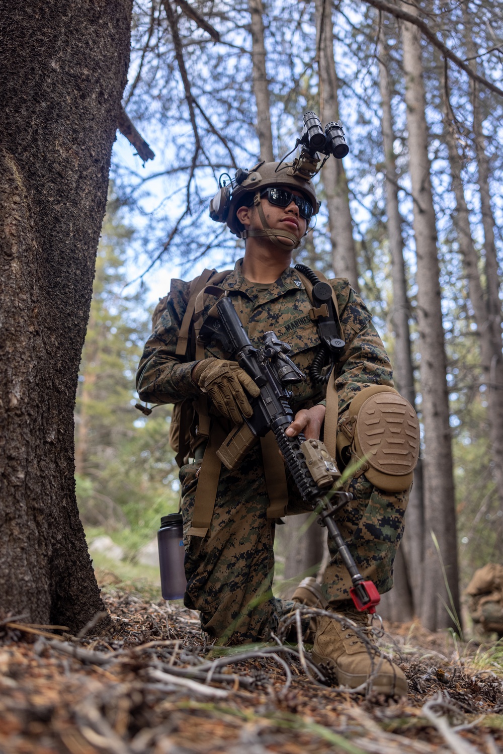 1st Bn., 1st Marines participates in field evaluation exercise during MTX