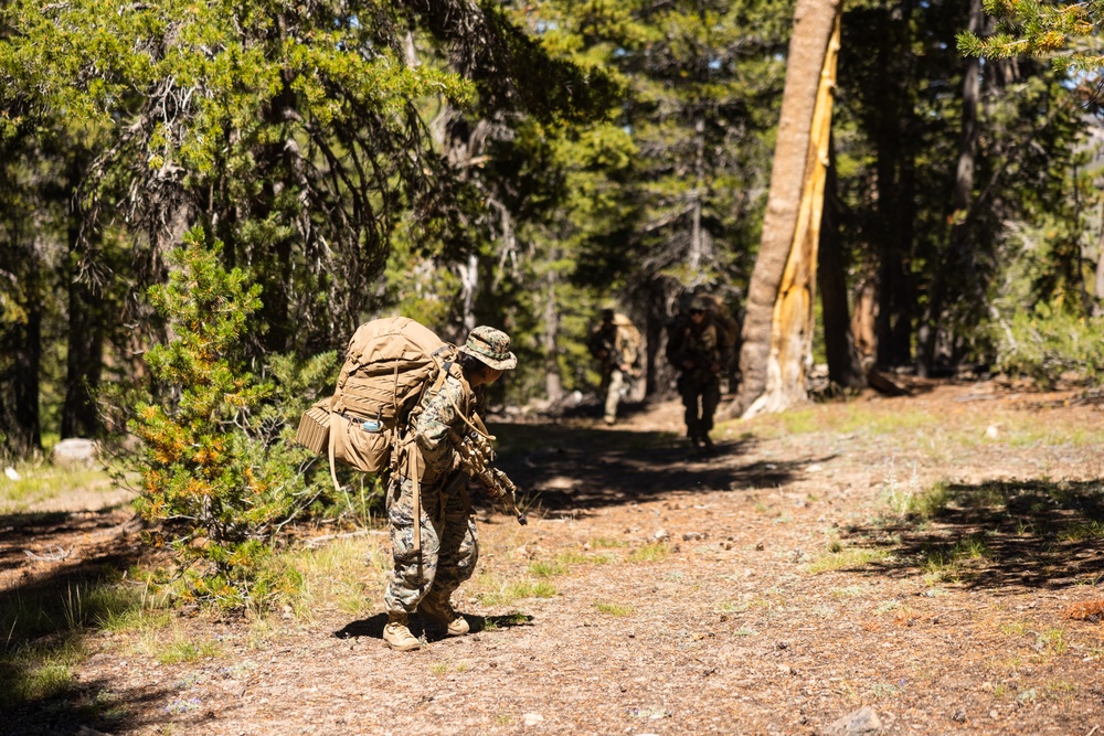 1st Bn., 1st Marines participates in field evaluation exercise during MTX