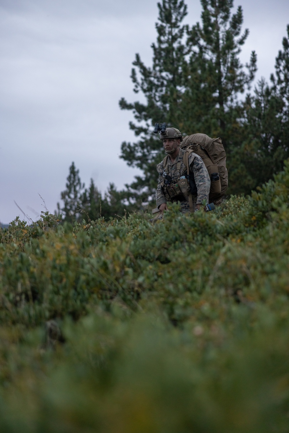 1st Bn., 1st Marines participates in field evaluation exercise during MTX