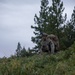 1st Bn., 1st Marines participates in field evaluation exercise during MTX