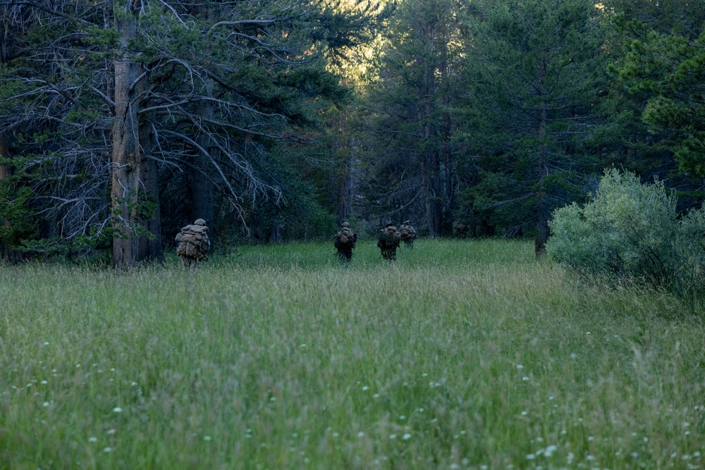 1st Bn., 1st Marines participate in field evaluation exercise during MTX