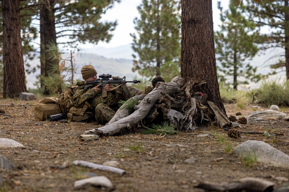 1st Bn., 1st Marines participate in field evaluation exercise during MTX