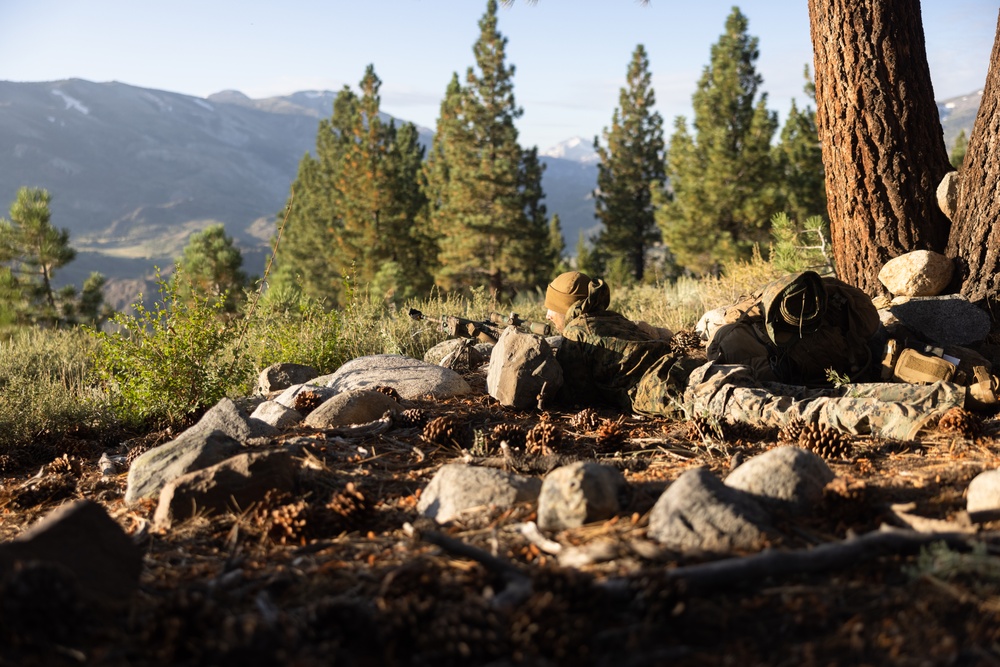 1st Bn., 1st Marines participate in field evaluation exercise during MTX