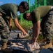 U.S. Marines and ROK Marines Exchange CBRN Response Tactics