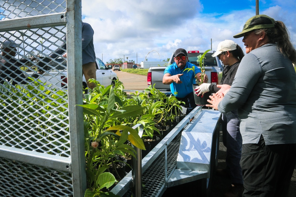 Camp Blaz conducts out planting for Mariana Eight-spot Butterfly