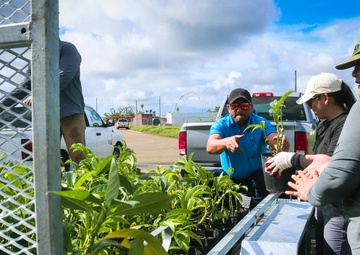 Camp Blaz conducts out planting for Mariana Eight-spot Butterfly