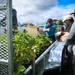 Camp Blaz conducts out planting for Mariana Eight-spot Butterfly