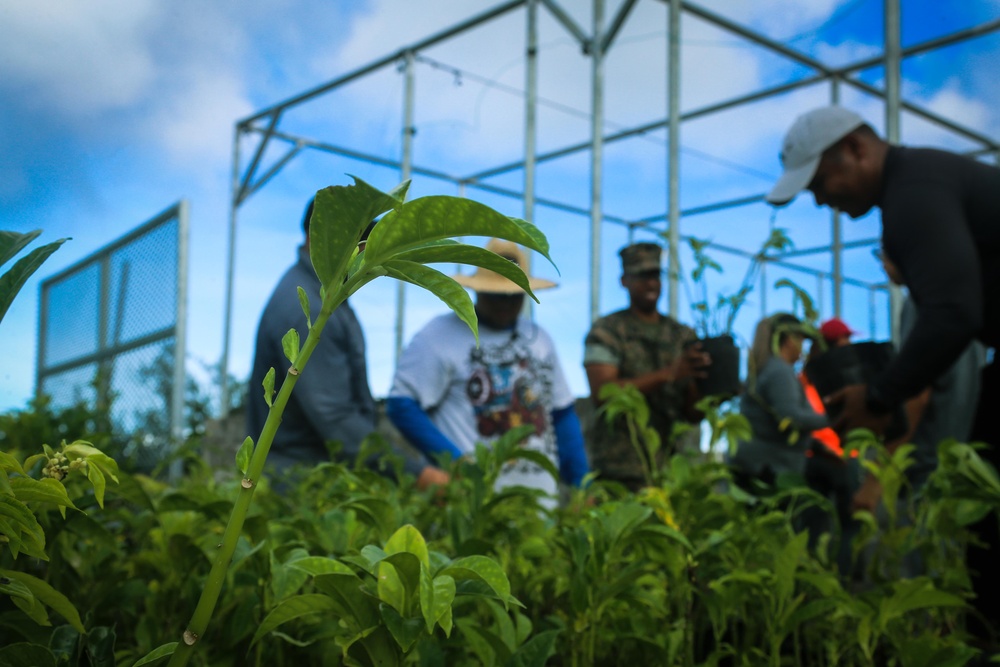 Camp Blaz conducts out planting for Mariana Eight-spot Butterfly