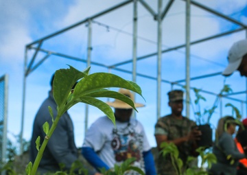 Camp Blaz conducts out planting for Mariana Eight-spot Butterfly