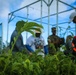 Camp Blaz conducts out planting for Mariana Eight-spot Butterfly