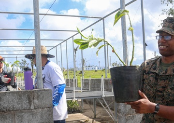 Camp Blaz conducts out planting for Mariana Eight-spot Butterfly