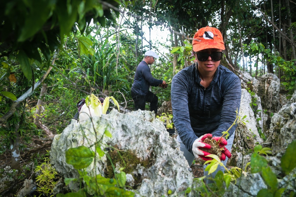 Camp Blaz conducts out planting for Mariana Eight-spot Butterfly