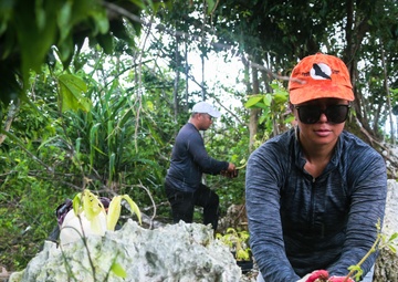 Camp Blaz conducts out planting for Mariana Eight-spot Butterfly