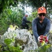 Camp Blaz conducts out planting for Mariana Eight-spot Butterfly