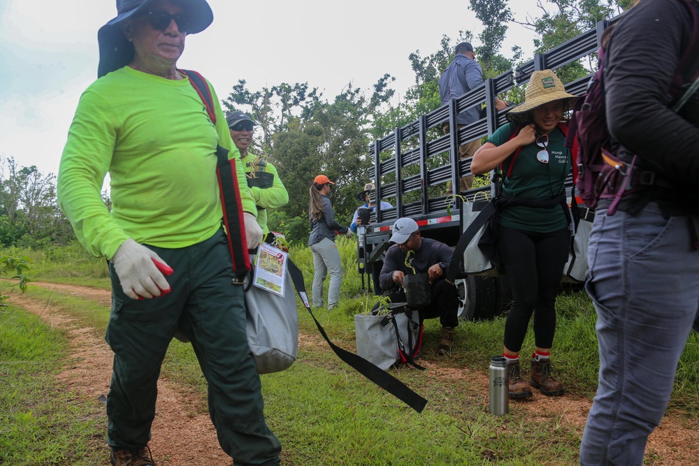 Camp Blaz conducts out planting for Mariana Eight-spot Butterfly