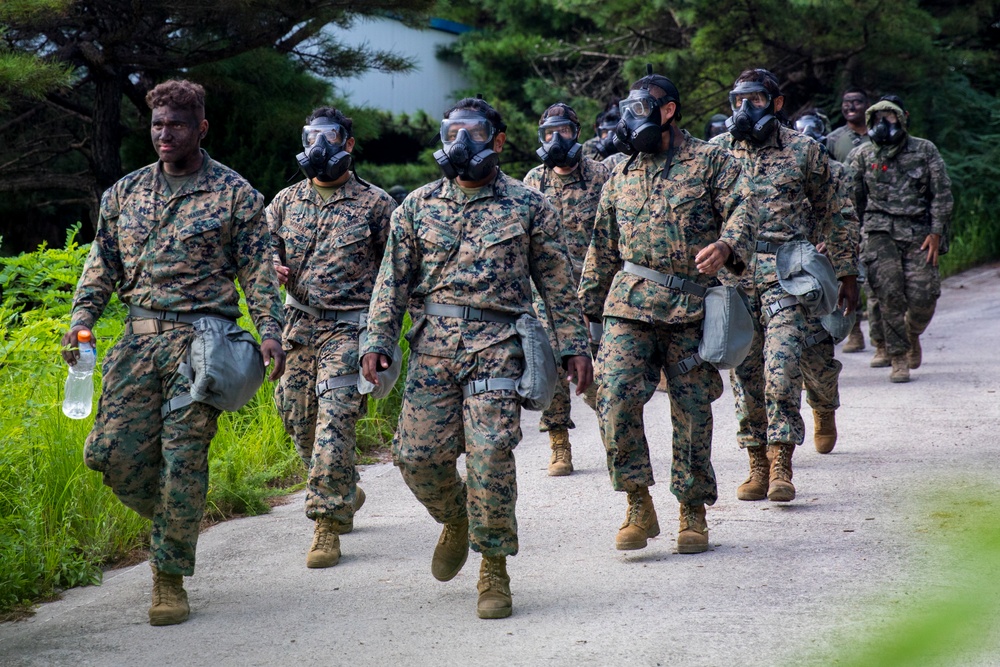 U.S. Marines and ROK Marines Participate in Gas Chamber