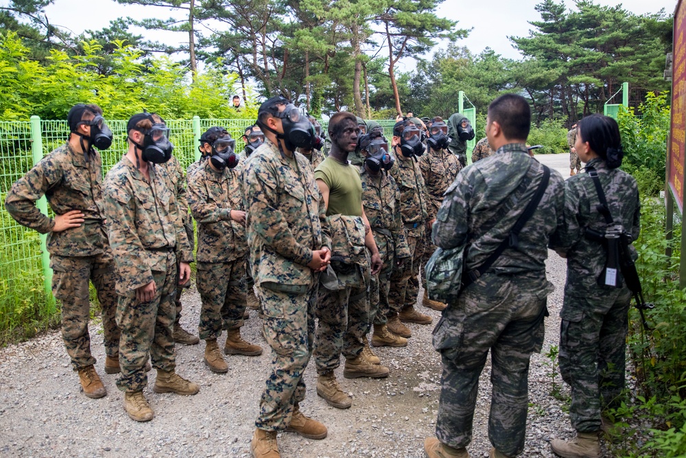 U.S. Marines and ROK Marines Participate in Gas Chamber