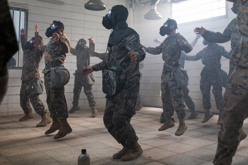 U.S. Marines and ROK Marines Participate in Gas Chamber