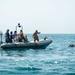 U.S. Coast Guard and Royal Bahrain Naval Force Conduct a Joint Search and Rescue Exercise (SAREX) in the Arabian Gulf