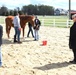 Soldiers learn to regulate emotions with horses with Equine-Assisted Group Psychotherapy