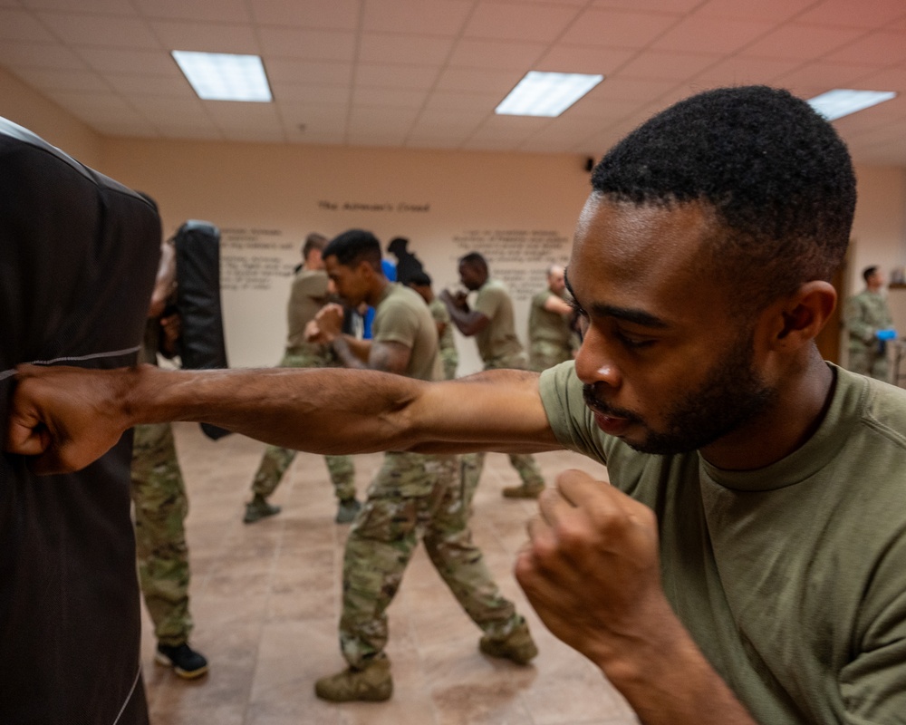 Air Force Combatives Program