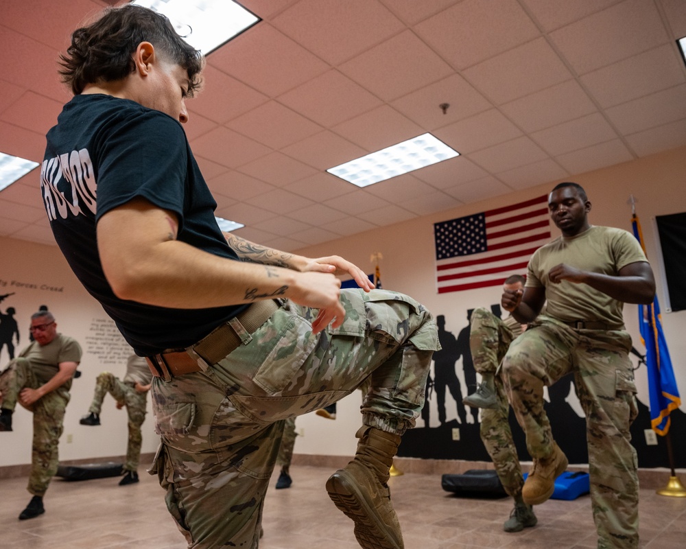 Air Force Combatives Program