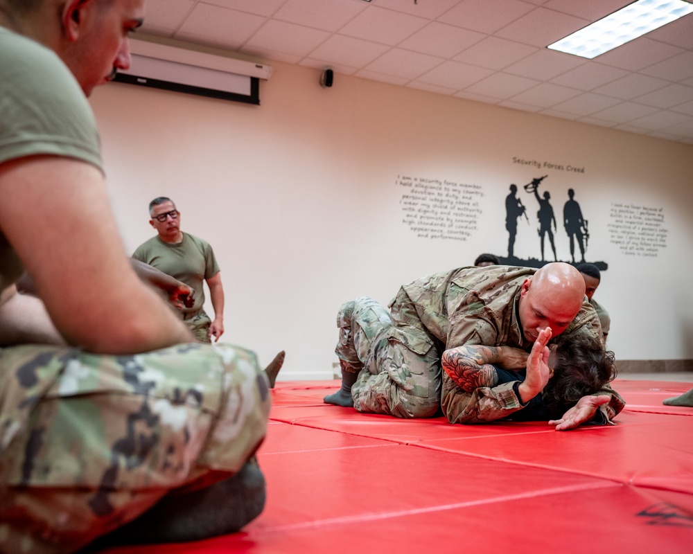 Air Force Combatives Program