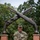 U.S. Army Reserve Soldier Wins RCSM James W. Frye NCO of Excellence Award