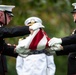 Military Funeral Honors are Conducted for U.S. Marine Corps Cpl. Spencer Collart in Section 52