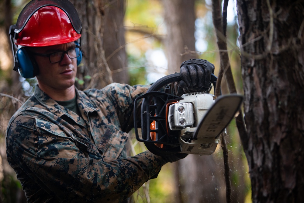 CLB 24 Chainsaw Course