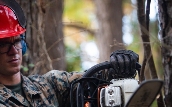CLB 24 Chainsaw Course