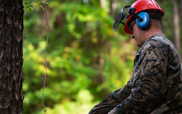 CLB 24 Chainsaw Course