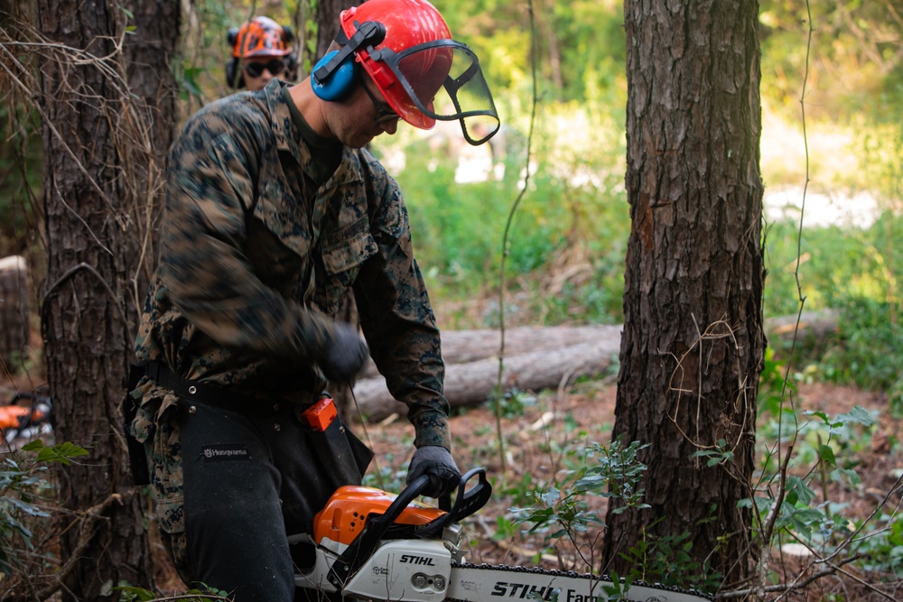 CLB 24 Chainsaw Course