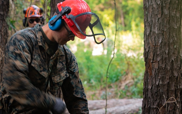 CLB 24 Chainsaw Course