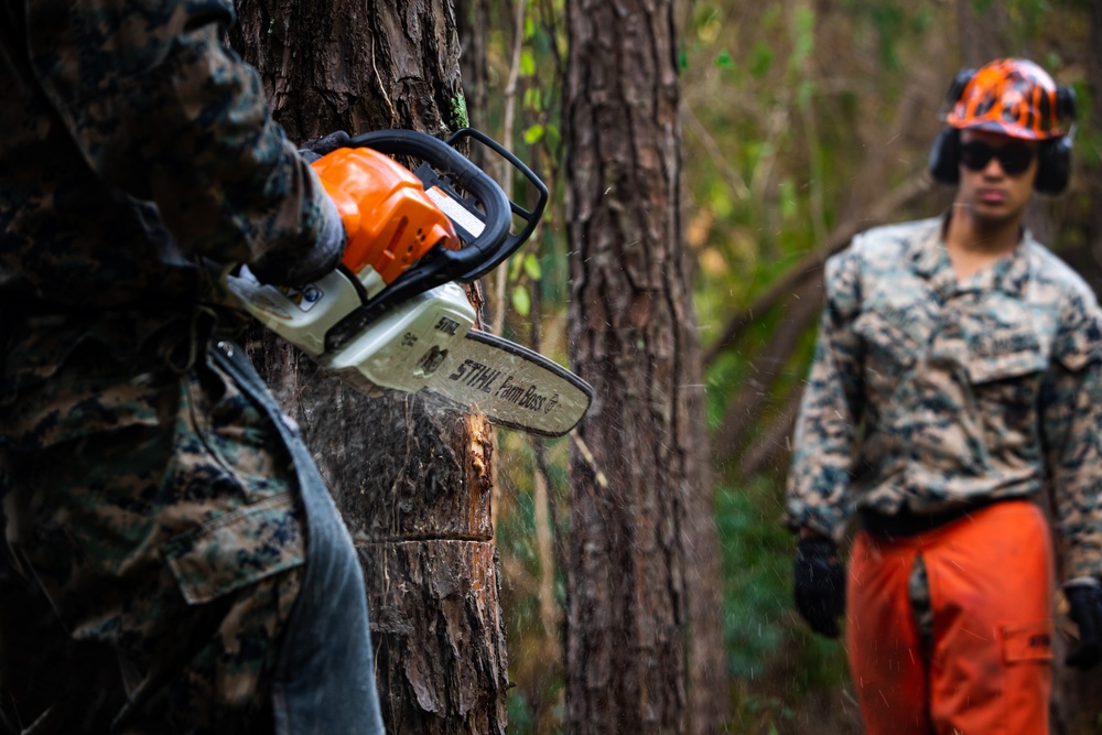 CLB 24 Chainsaw Course