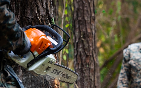 CLB 24 Chainsaw Course
